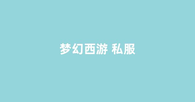 梦幻西游s